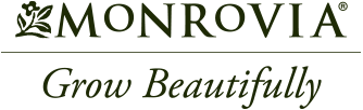 Monrovia