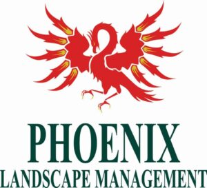 Phoenix Logo color